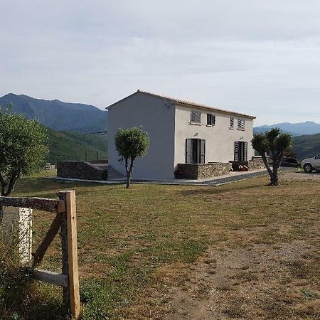 Entre Mer Et Montagne, En Plein Maquis Vallecalle Exteriér fotografie